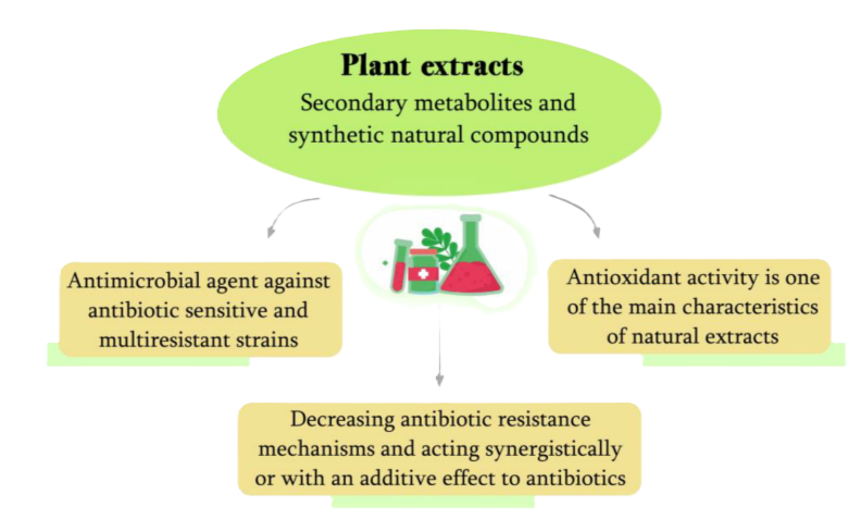 Plant extracts exhibit a wide range of biological activities due to their rich composition of bioactive compounds.PNG